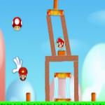 Angry birds mantar oyunu