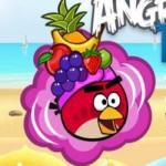 Angry birds rio oyunu