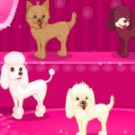 Gösteri Köpekleri  oyunu