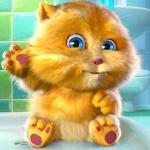 Konuşan kedi yavrusu oyunu