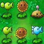 Plants vs zombies oyunu